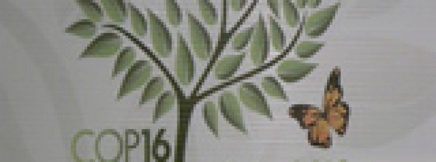 La Administradora General presenta el trabajo de la COCEF en COP 16